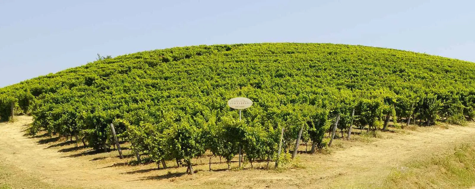 Agricola Ferraris - Italien