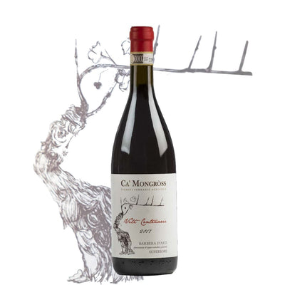 Viti Centenarie Barbera d´Asti Superiore DOCG 2017 Ca`Mongeróss - Italiensk Rødvin